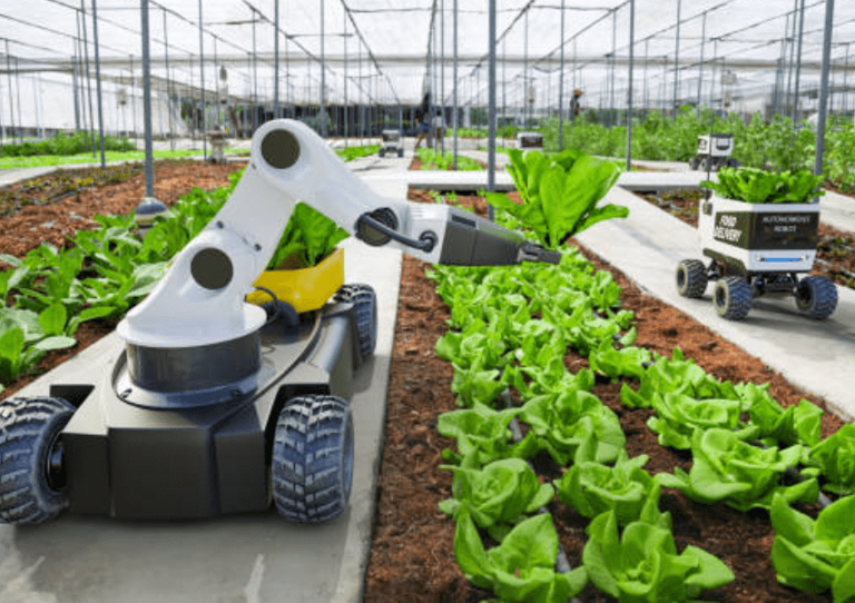 AI Farming: How Artificial Intelligence Can Revolutionize Agriculture